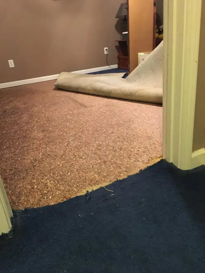 Carpet pad removal revealing water damage during Drying & Dehumidification in Marshall