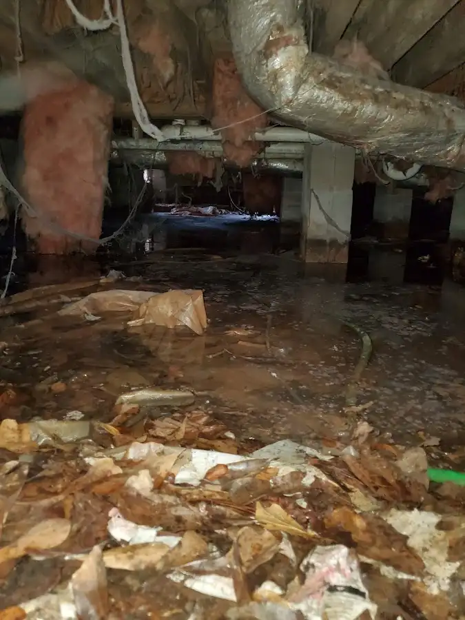 Crawl space flood assessment for Leak Detection & Repair in Marshall
